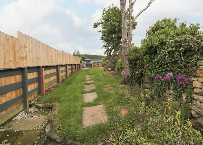 Puffin * Scarborough